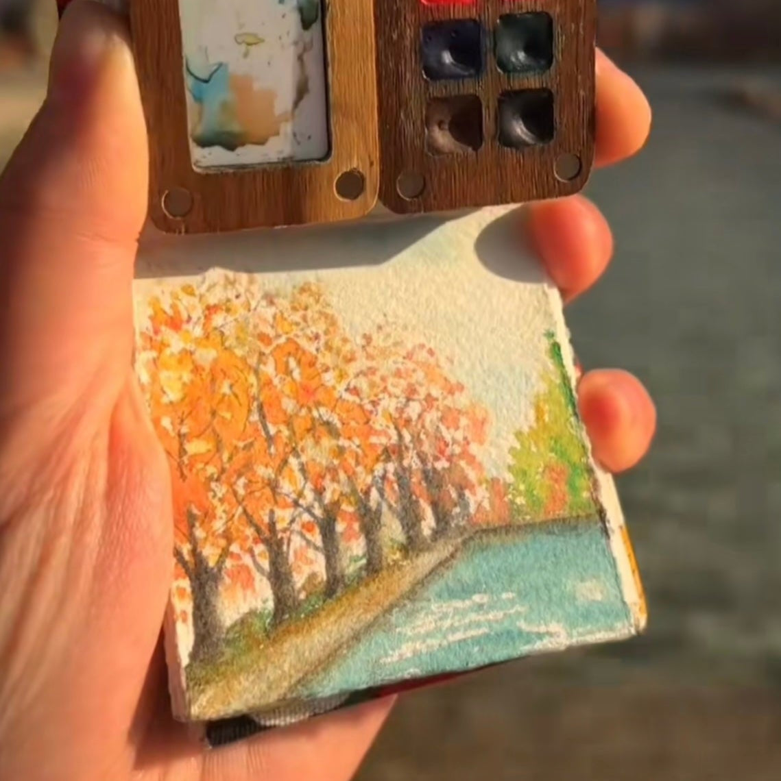 Pocket Artist's Accelerator Bundle